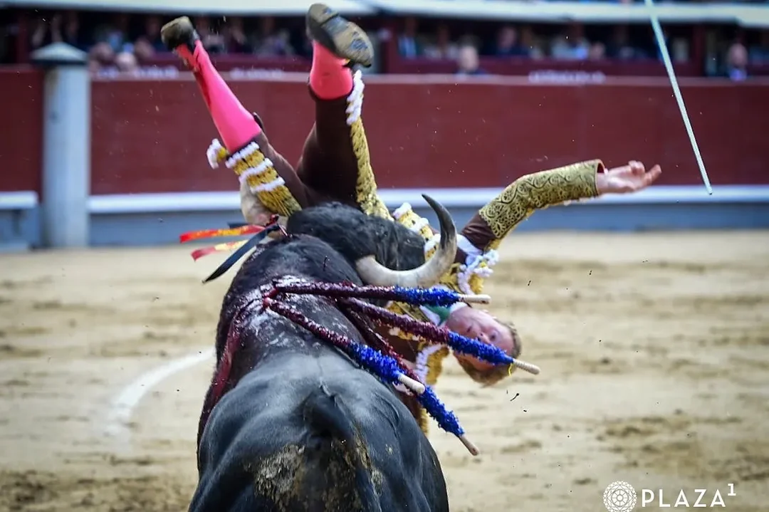 ¿Qué Sucede en San Isidro? Días de Toros y Sorpresas de Última Hora