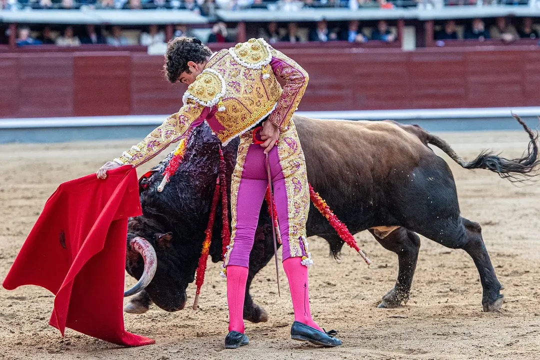 ¿Qué Hace a Víctor Hernández la Nueva Esperanza del Toreo?
