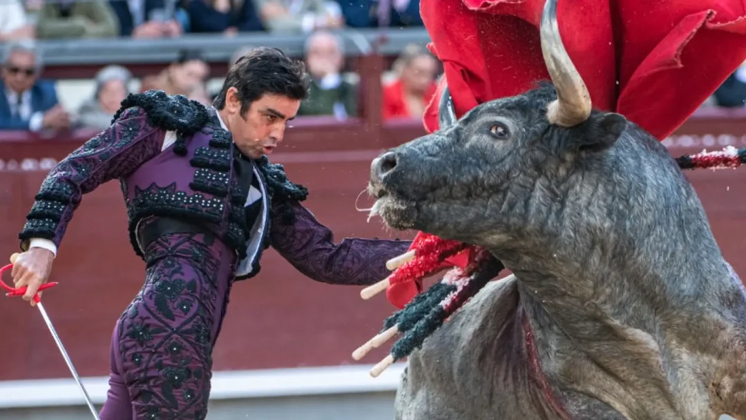 ¿Qué Nos Deparará la Corrida de Hoy en La Feria de San Isidro?