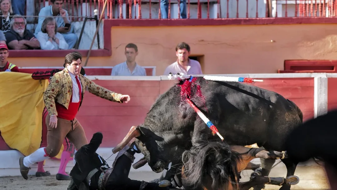 ¿Qué Ocurrirá Con Diego Ventura Tras Su Graves Lesiones en Montijo?