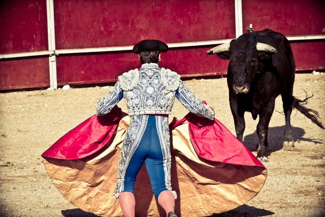 ¿El Torero A La Fuga Vuelve A Dejar Plantada A Su Novia?