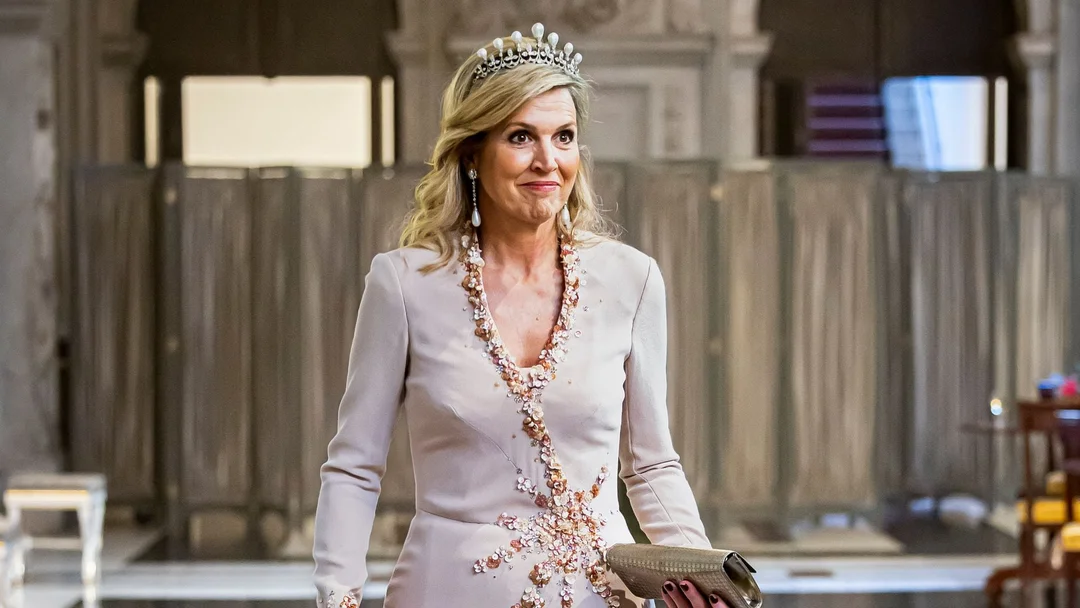 ¿Cómo La Reina Máxima Conquistó Al Cuerpo Diplomático Con Un Vestido De Gala De 2010?