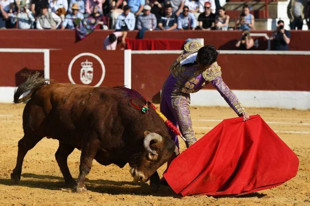 ¿Qué Ocurrió Realmente en la Copa Chenel? Heridas Reales y Consecuencias Inesperadas