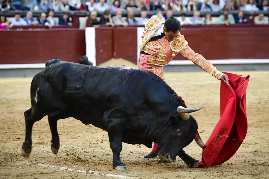 ¿Realmente Sabes Qué Pasó en Las Ventas con Fortes?