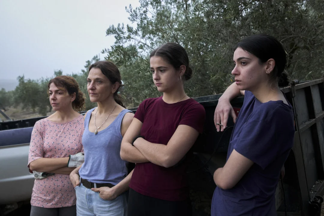 ¿Qué Hay Detrás de ‘Los Tortuga’? Un Viaje de Emoción y Realidad